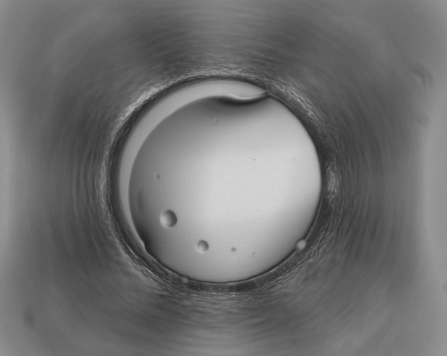 X0000112960684200909241200