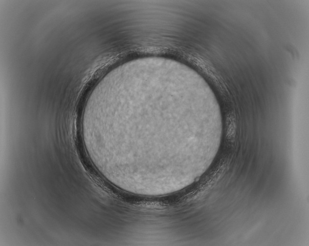 X0000112960685200909241200