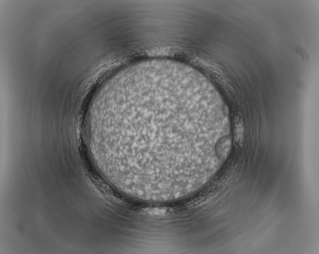 X0000112960687200909241200