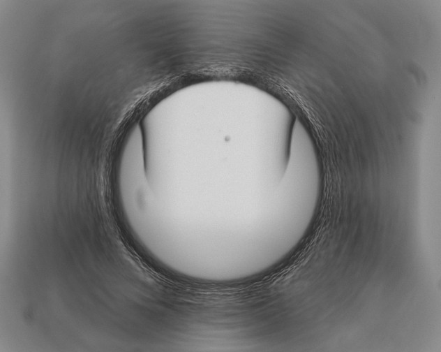 X0000112960688200909241200