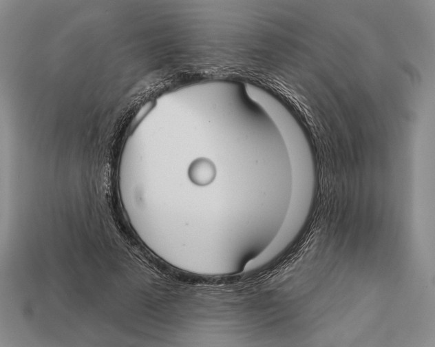 X0000112960689200909241200