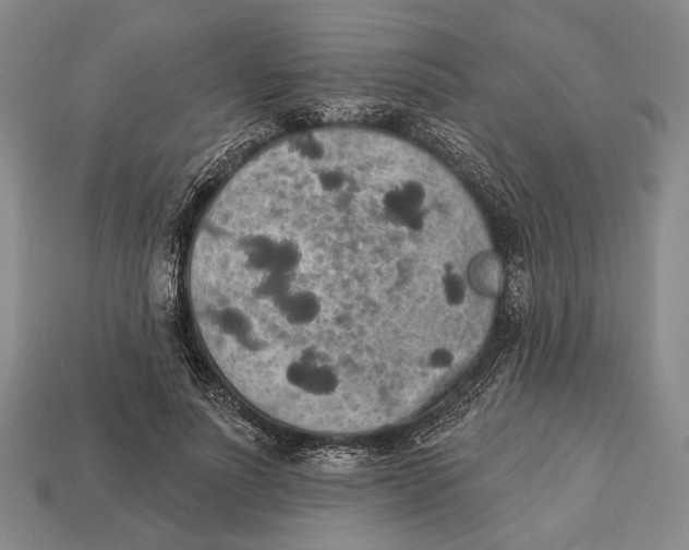 X0000112960691200909241200