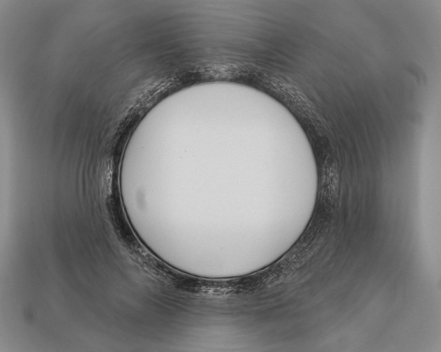 X0000112960694200909241200