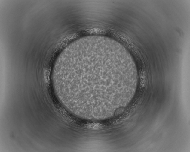 X0000112960695200909241200