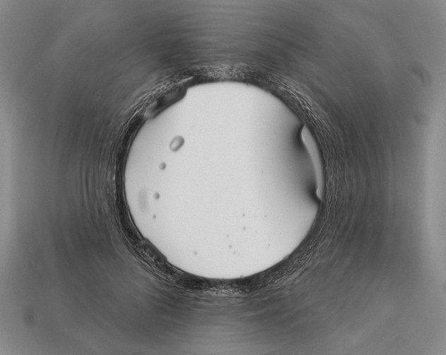 X0000112960696200909241200