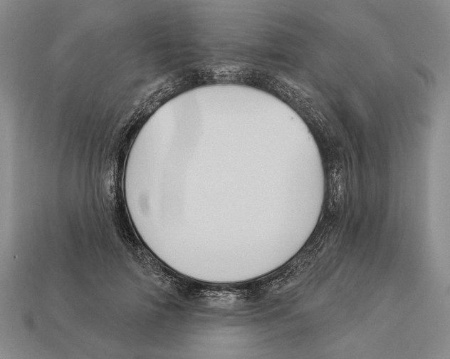 X0000112960698200909241200