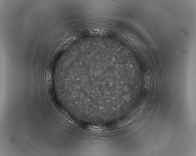 X0000112960699200909241200