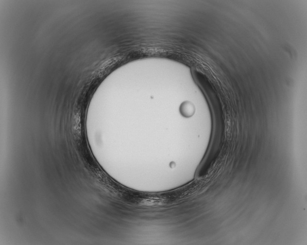 X0000112960700200909241200