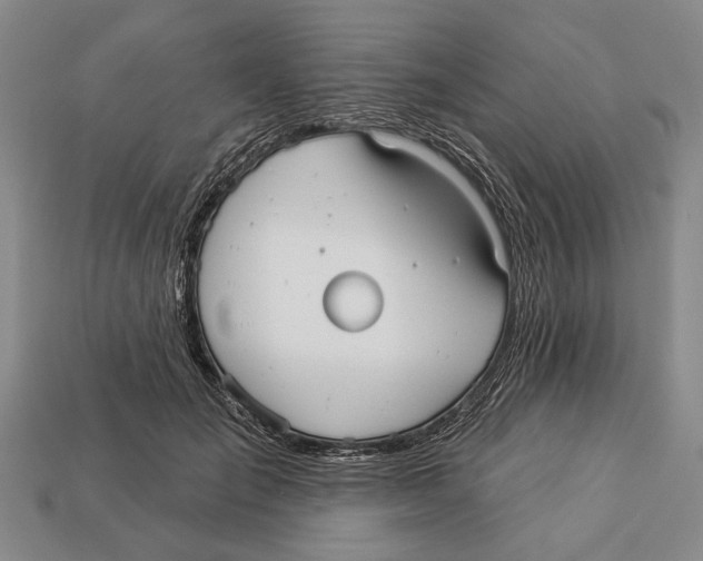 X0000112960701200909241200