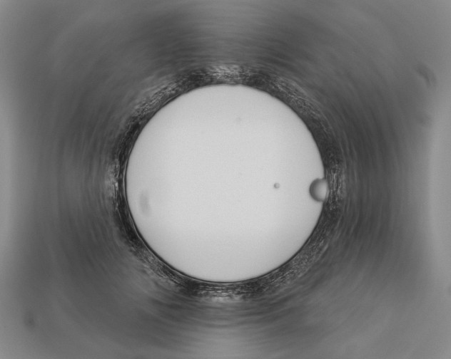 X0000112960702200909241200