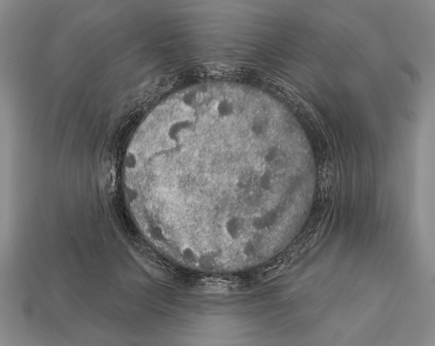 X0000112960703200909241200