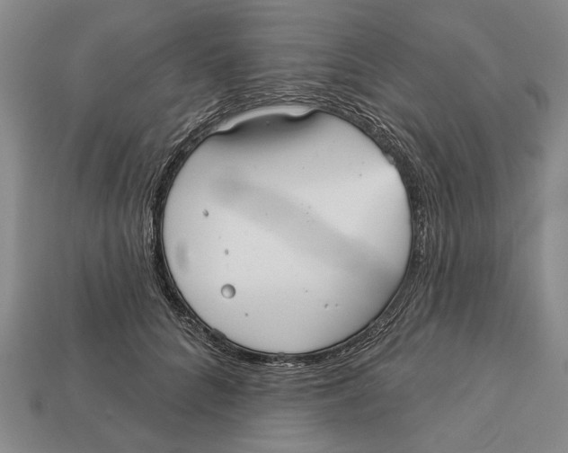 X0000112960704200909241200