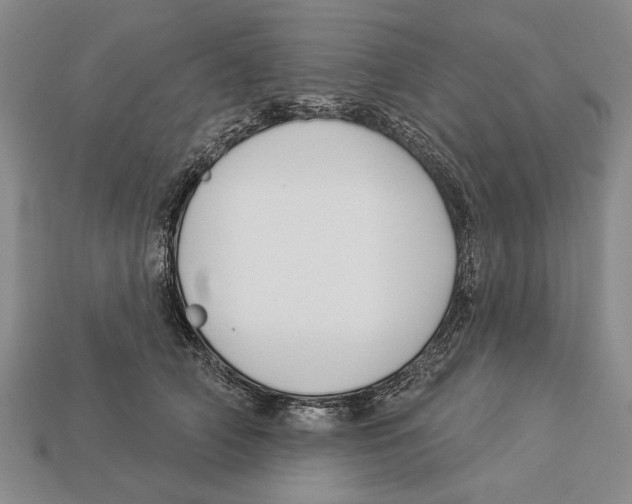 X0000112960706200909241200