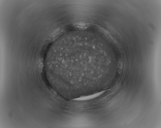 X0000112960707200909241200