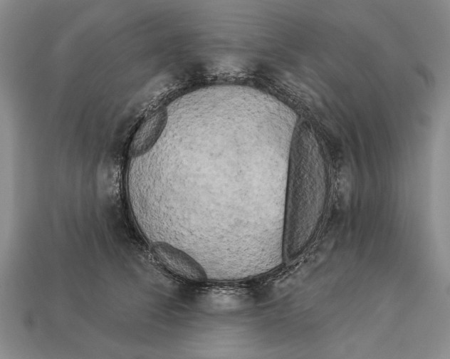 X0000112960708200909241200