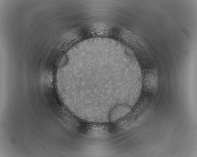 X0000112960709200909241200