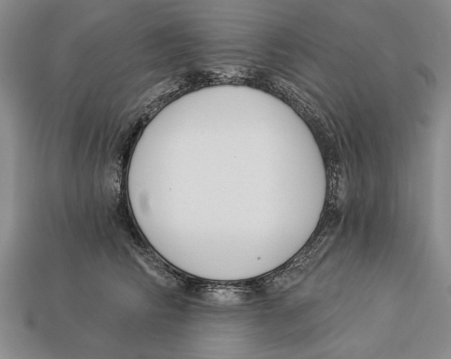 X0000112960710200909241200