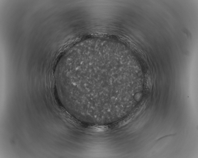 X0000112960711200909241200