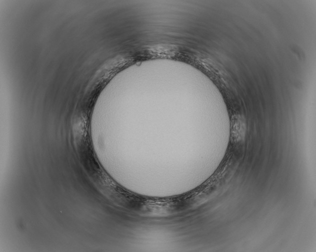 X0000112960713200909241200