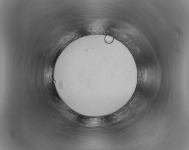 X0000112960717200909241159