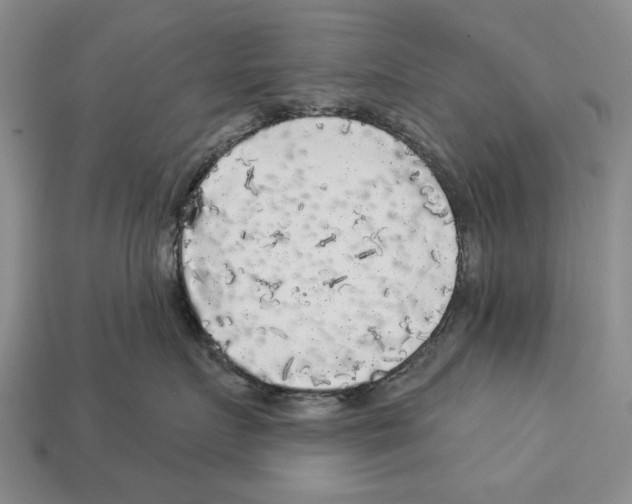 X0000112960719200909241159