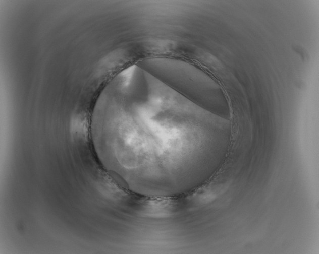 X0000112960720200909241159