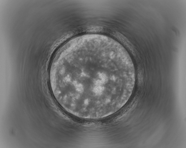 X0000112960721200909241159