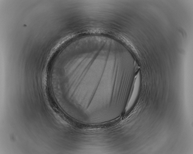 X0000112960722200909241159