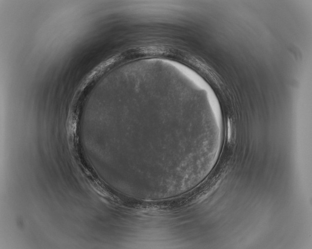 X0000112960723200909241159