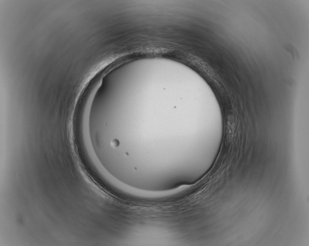 X0000112960726200909241159