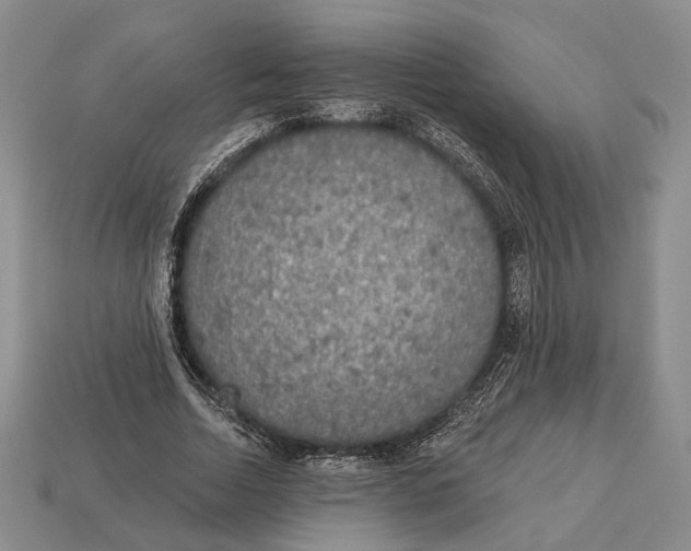 X0000112960730200909241159