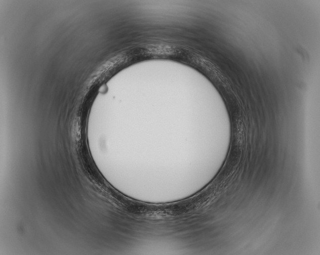 X0000112960731200909241159