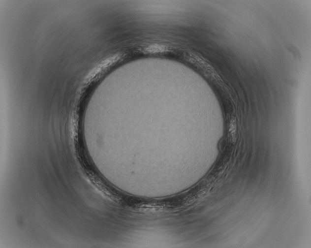 X0000112960732200909241159