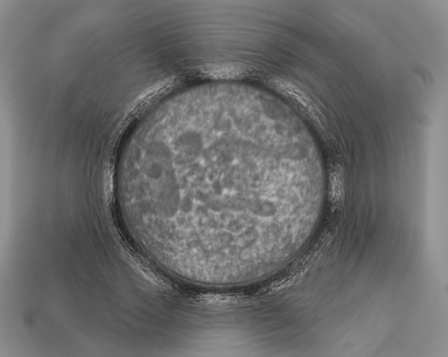 X0000112960733200909241159