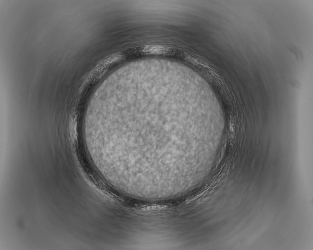 X0000112960734200909241159