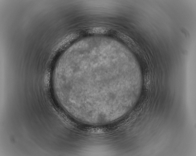 X0000112960735200909241159