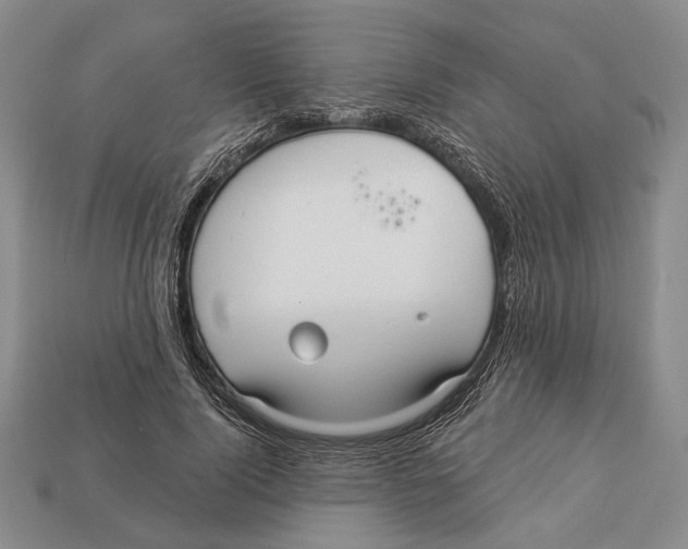 X0000112960740200909241159