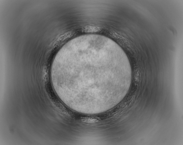 X0000112960743200909241159