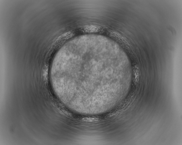 X0000112960745200909241159