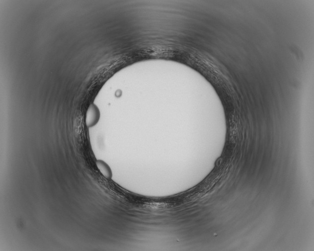 X0000112960748200909241159