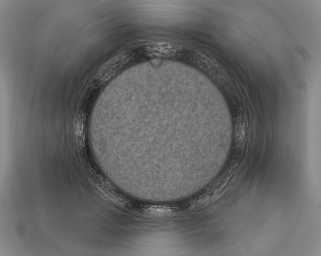 X0000112960749200909241159