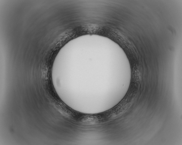 X0000112960750200909241159