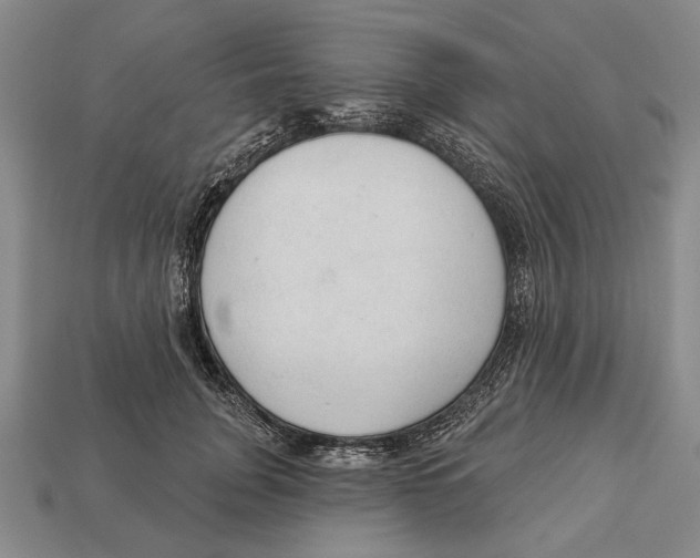 X0000112960751200909241159