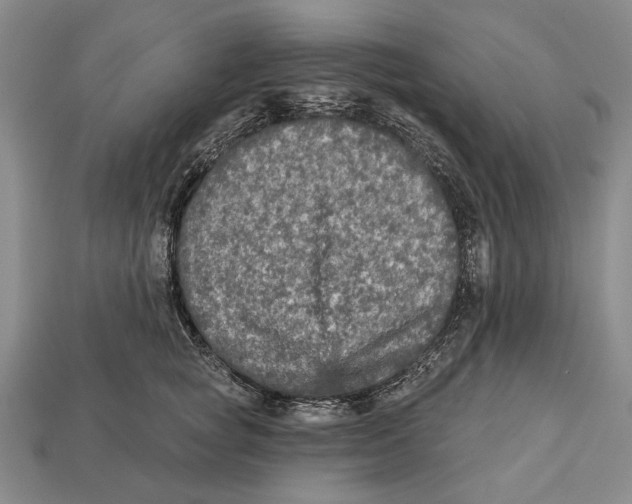 X0000112960757200909241159