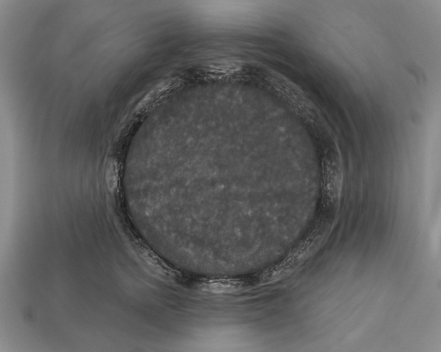 X0000112960758200909241159