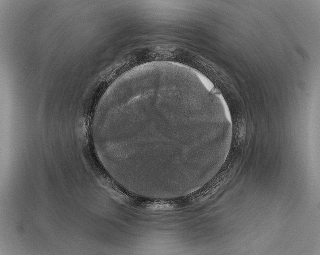 X0000112960759200909241159