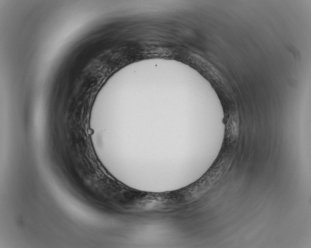 X0000112960764200909241159