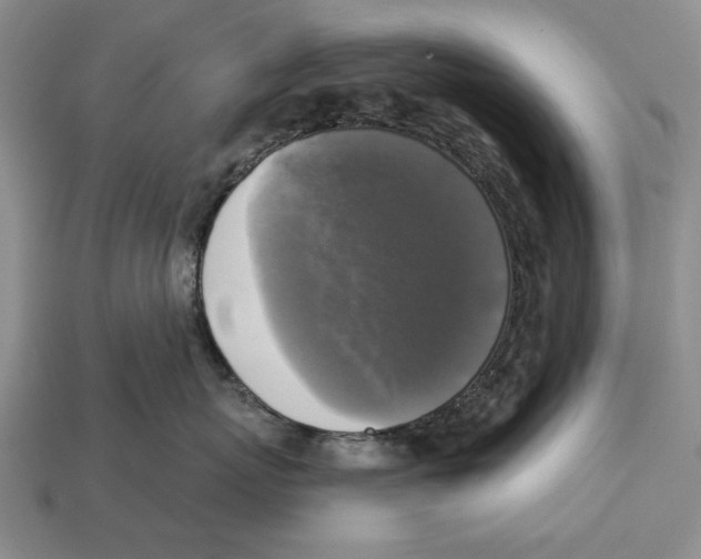 X0000112960767200909241159