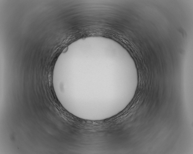 X0000112960772200909241159