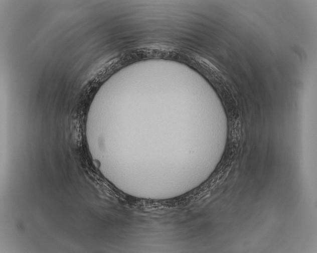 X0000112960774200909241159